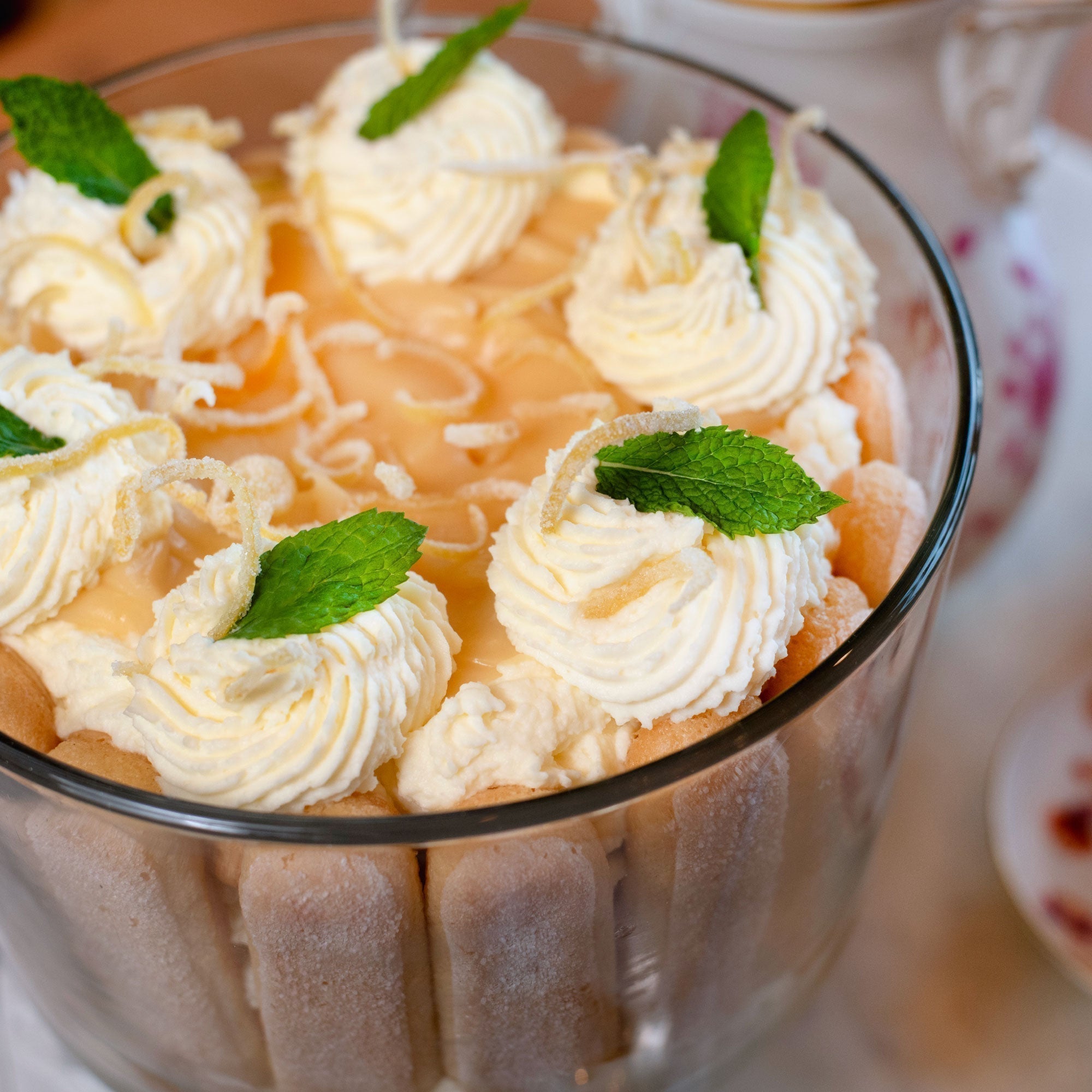 Homemade Limoncello Tiramisu Recipe with Homemade Candied Lemon Peel