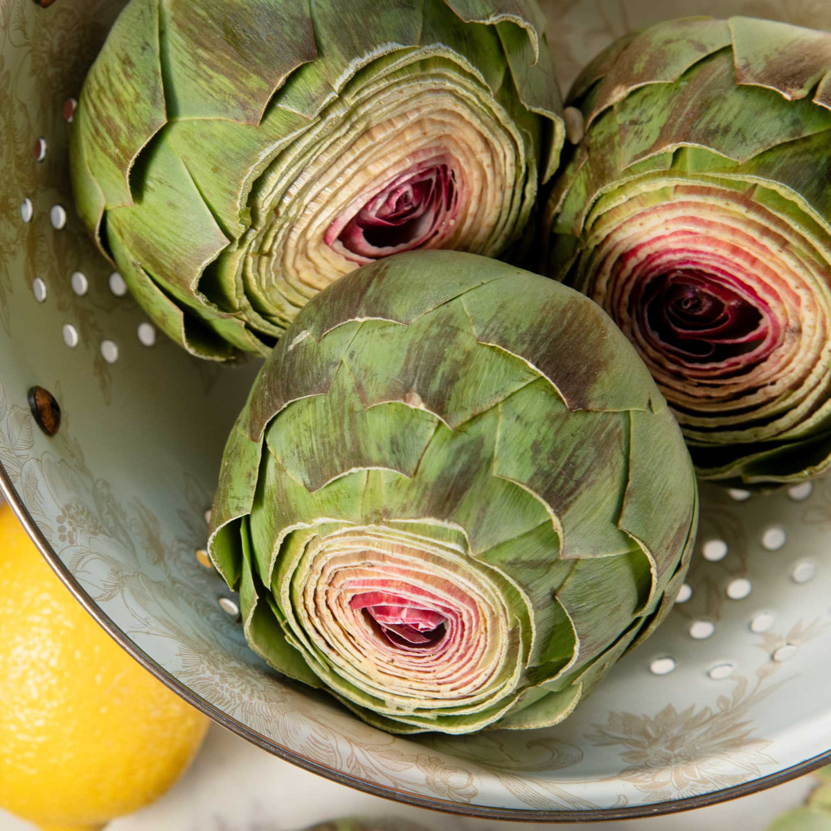 Grilled Artichoke Heart White Bean Salad
